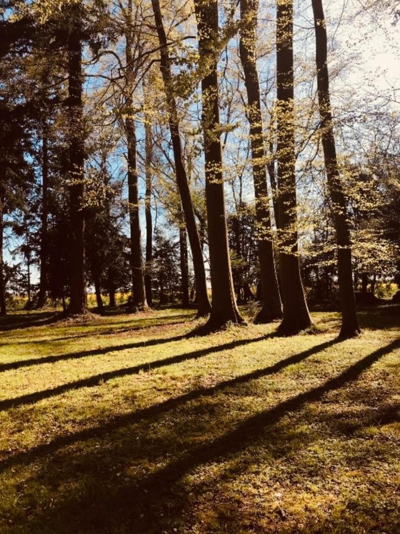 Chateau Folies - Escapade Nature Gite 120M2 - 5 Couchages Marolles  Buitenkant foto