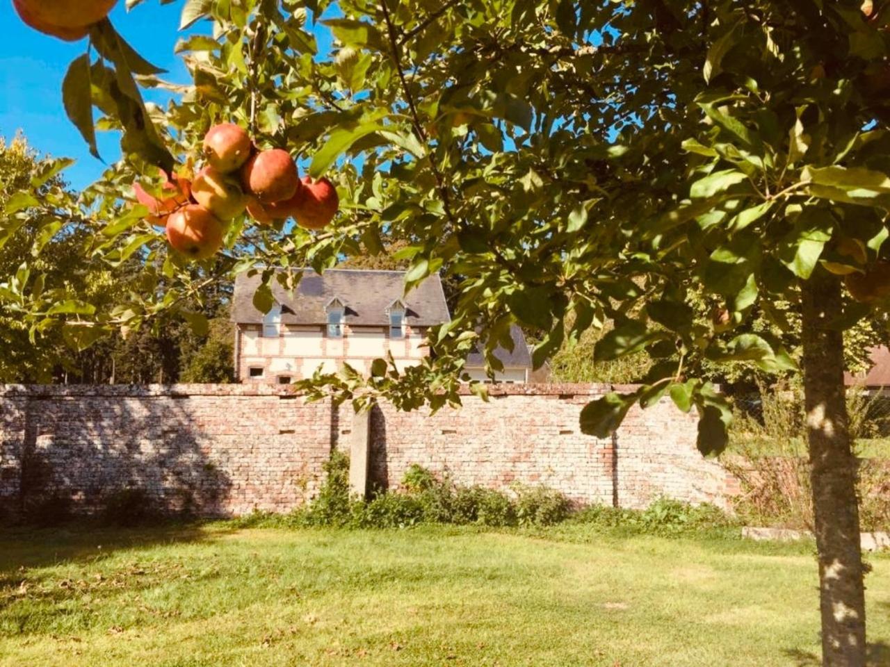 Chateau Folies - Escapade Nature Gite 120M2 - 5 Couchages Marolles  Buitenkant foto